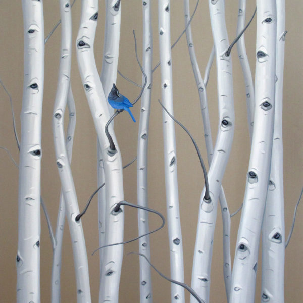 Focus Local: Denver – Mai Wyn Fine Art Gallery