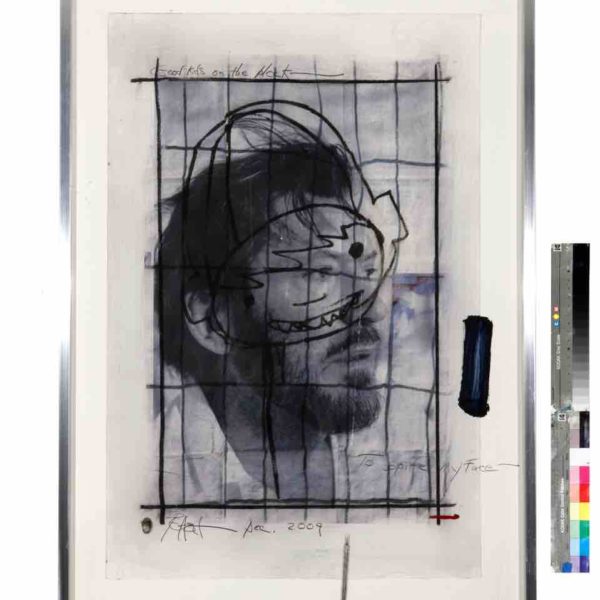 Unerased Journeys: A Survey of Works by Darryl Pottorf at Museum of Outdoor Arts