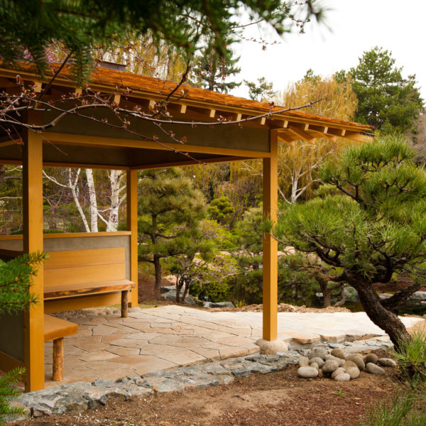 Harvesting Tranquility In North American Japanese Gardens