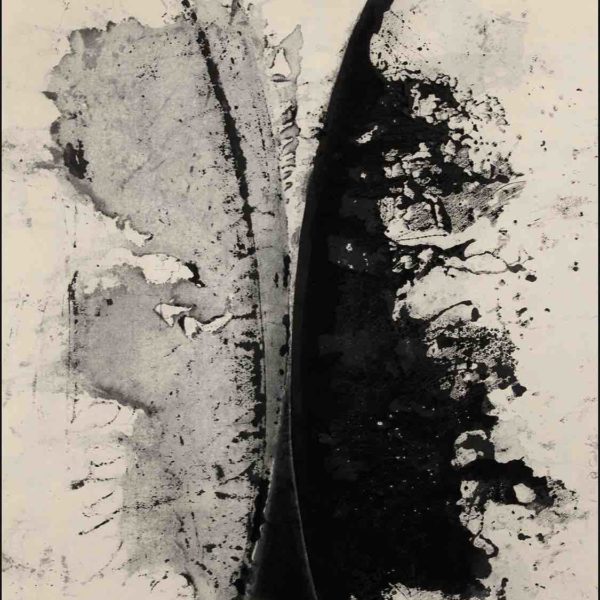 Happy New Year!! 18 Colorado Exhibitions You MUST SEE Before They Are Gone!!