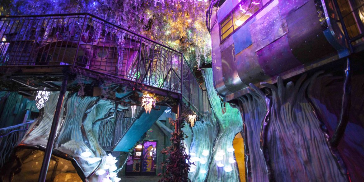 Documentary and New Locations for Meow Wolf
