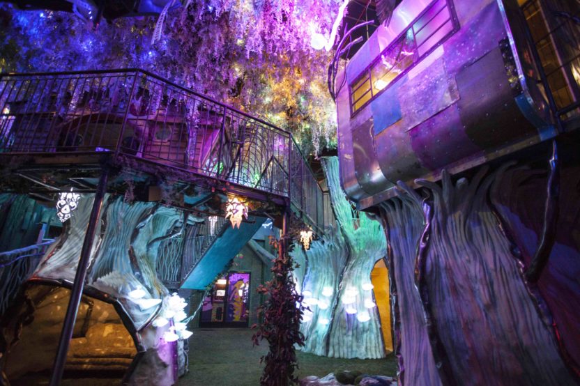 Documentary and New Locations for Meow Wolf