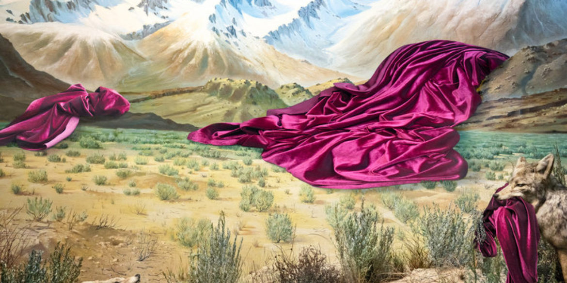 Denver’s Highly Anticipated Biennial Month of Photography – MoP – Kicks Off