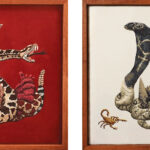 A Whimsical Mind – Holley Bakich, AZ