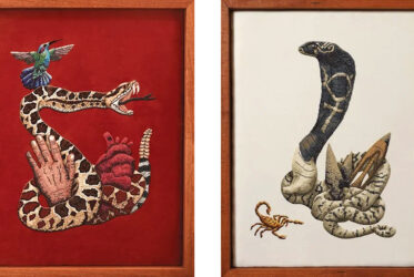 A Whimsical Mind – Holley Bakich, AZ