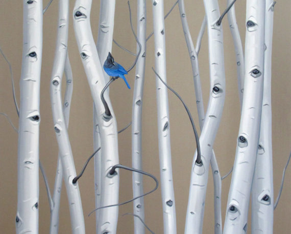 Focus Local: Denver – Mai Wyn Fine Art Gallery