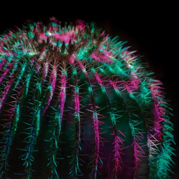 Philadelphia’s Klip Collective Lights Up the Desert Night in Phoenix