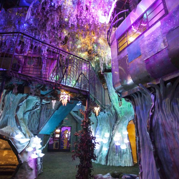 Documentary and New Locations for Meow Wolf